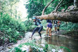 BIB: 
                            <button type="button" onclick="openModal(25442550)" class="btn btn-primary btn-sm float-right btn-popup" data-toggle="modal" data-target=".modal-high-quality">
                        <i class="fas fa-shopping-cart"></i> Add to Cart
                    </button>
                                            <button type="button" onclick="isThisMe(25442550, true)" class="btn btn-success btn-sm float-right btn-popup btn-isme hidden" data-toggle="tooltip" data-placement="bottom" title="นี่คือรูปของคุณใช่ไหม คลิกที่นี่เพื่อเอาเข้าอัลบั้ม">
                        <i class="fas fa-plus"></i> Add to album
                    </button>
                    <button type="button" onclick="isThisMe(25442550, false)" class="btn btn-warning btn-sm float-right btn-popup btn-isnotme hidden">
                        <i class="fas fa-ban"></i> Remove from album
                    </button>